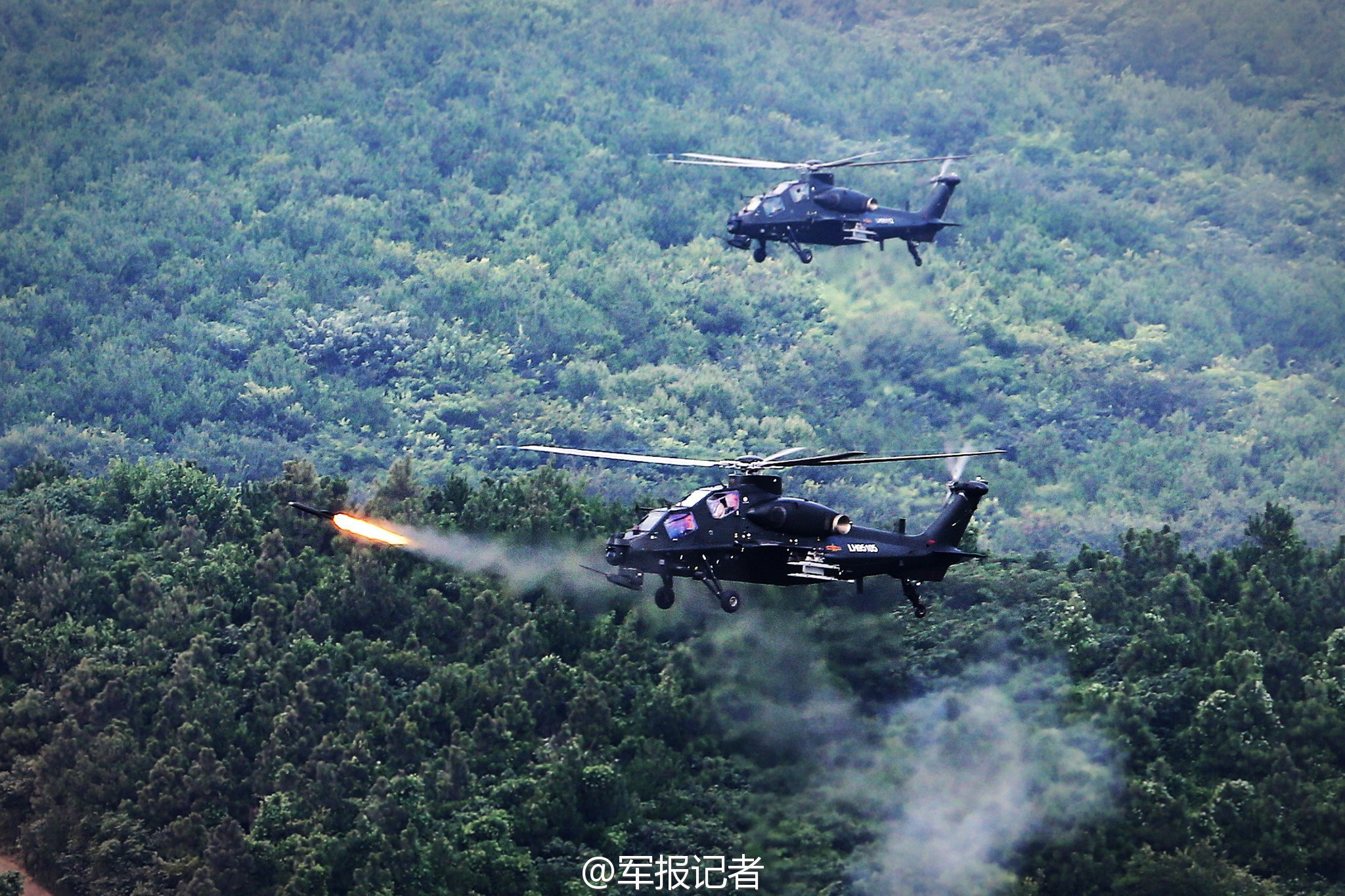 “别在公共场合说普通话！”在奥克兰，华人竟然歧视华人…… 