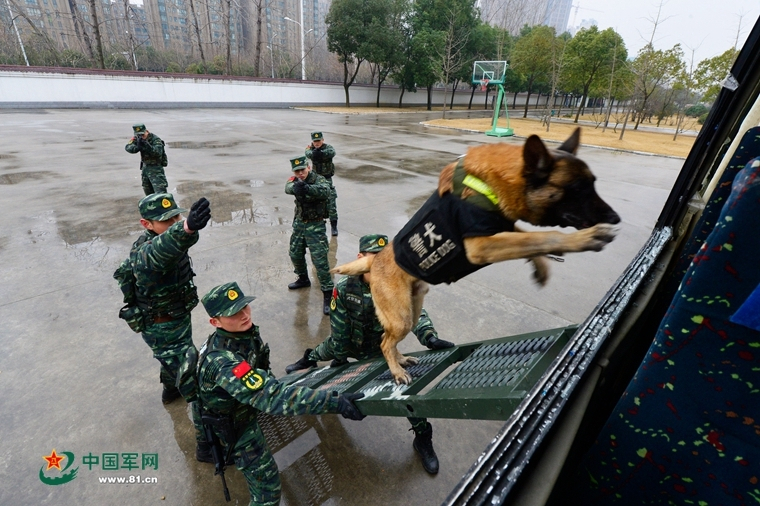 201略见优惠，304止跌趋稳，追低采购值得跟，友情提醒别贪心！ 